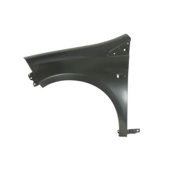 Aile avant gauche BLIC 6504-04-2029311P