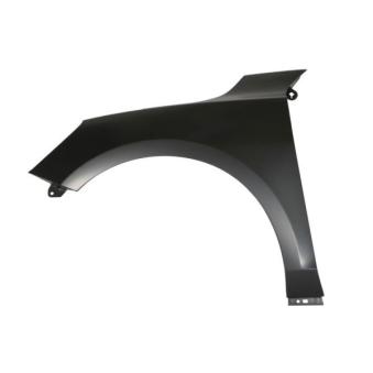 Aile avant gauche BLIC 6504-04-2537311P