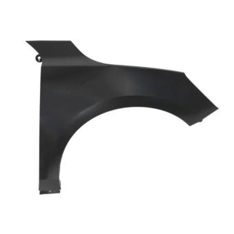 Aile avant droit BLIC 6504-04-2538312P