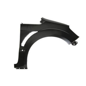 Aile avant droit BLIC [6504-04-2583312P]