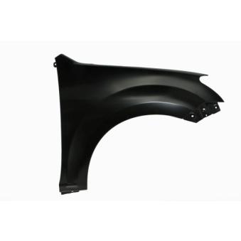 Aile avant droit BLIC 6504-04-3053316P