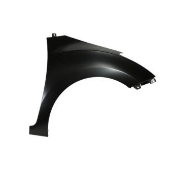 Aile avant droit BLIC 6504-04-3136314P