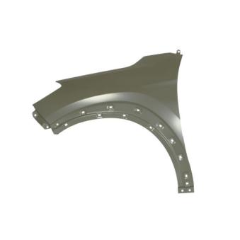 Aile avant gauche BLIC [6504-04-3177311P]