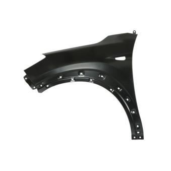 Aile avant gauche BLIC [6504-04-3177313P]