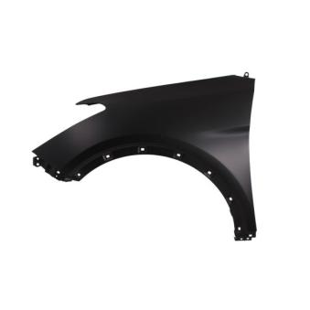 Aile avant gauche BLIC 6504-04-3182311P pour HYUNDAI SANTA FÉ 2.0 CRDi 4WD - 150cv Aile avant gauche BLIC 6504-04-3182311P pour HYUNDAI SANTA FÉ 2.0 CRDi 4WD - 150cv