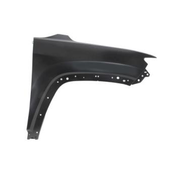 Aile avant droit BLIC 6504-04-3235312P