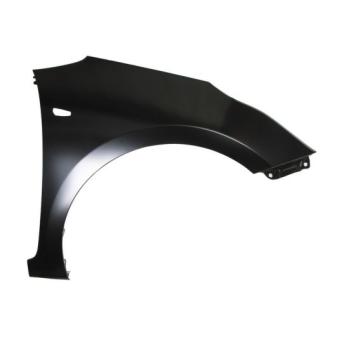 Aile avant droit BLIC 6504-04-3268312P