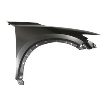 Aile avant droit BLIC 6504-04-3496312P