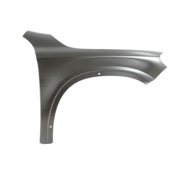 Aile avant droit BLIC OEM a1568800218