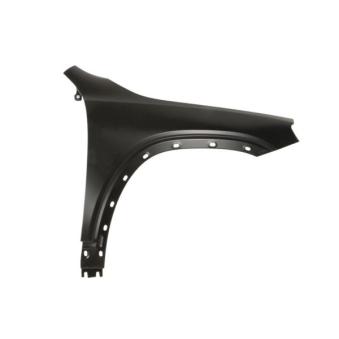 Aile avant droit BLIC OEM a2478810201