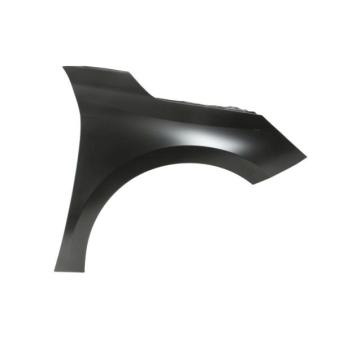 Aile avant droit BLIC 6504-04-5028312Q