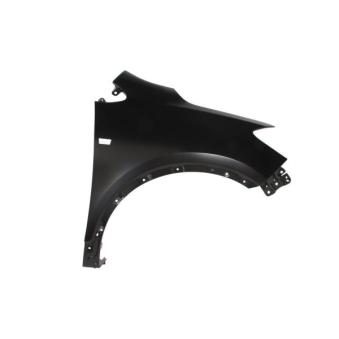 Aile avant droit BLIC 6504-04-5029312P