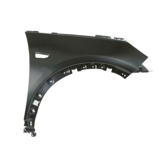 Aile avant droit BLIC 6504-04-5037312AP