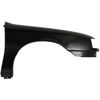 Aile avant droit BLIC [6504-04-5076312P]