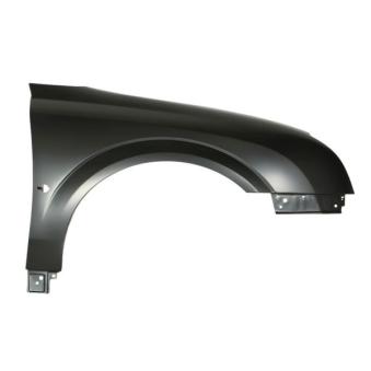 Aile avant droit BLIC 6504-04-5078312P