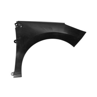 Aile avant droit BLIC 6504-04-5519312Q