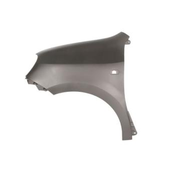 Aile avant gauche BLIC [6504-04-6004311P]