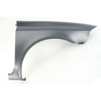 Aile avant droit BLIC [6504-04-6055314P]