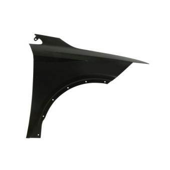 Aile avant droit BLIC [6504-04-6624312P]