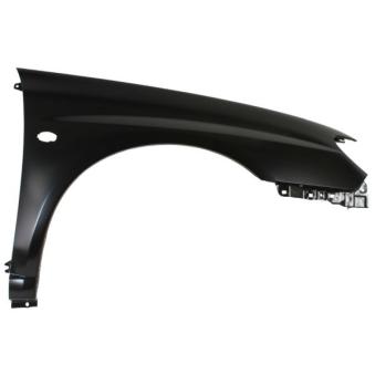 Aile avant droit BLIC 6504-04-6733312P