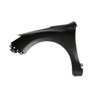 Aile avant gauche BLIC [6504-04-6735311P]