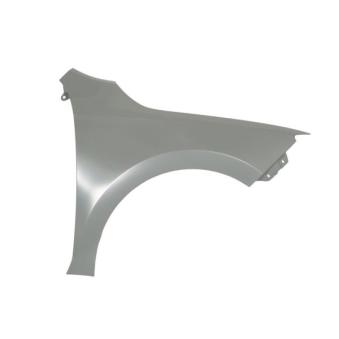 Aile avant droit BLIC 6504-04-7516314P