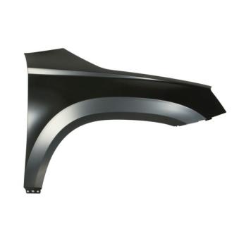 Aile avant droit BLIC [6504-04-7529312P]