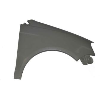 Aile avant droit BLIC [6504-04-9506314P]