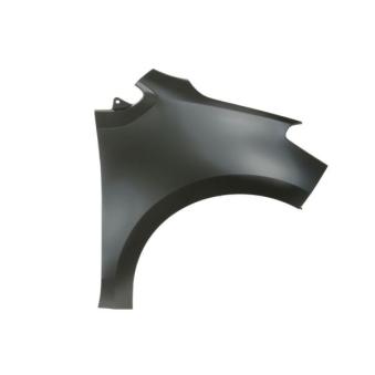 Aile avant droit BLIC 6504-04-9516314P