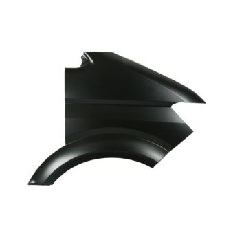 Aile avant droit BLIC [6504-04-9565312Q]