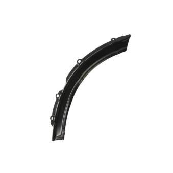 Baguette et bande protectrice, aile arrière droit BLIC 6508-06-8179934P pour TOYOTA RAV 4 2.0 VVTI 4WD - 150cv