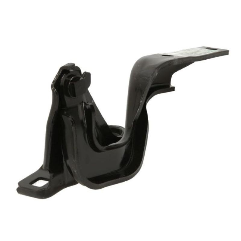 Charnière, capot-moteur BLIC 6802-00-3216451P - Visuel 1