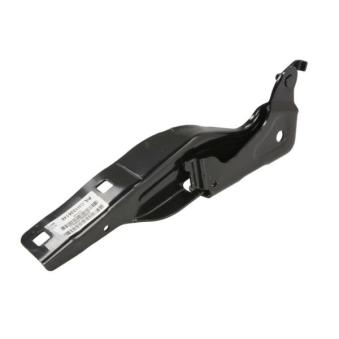 Charnière, capot-moteur BLIC [6802-00-3217451P]