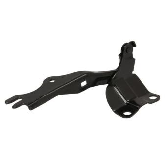 Charnière, capot-moteur BLIC [6802-00-3452451P]