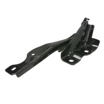 Charnière, capot-moteur BLIC [6802-00-3479451P]