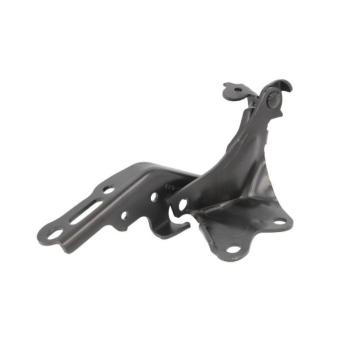 Charnière, capot-moteur BLIC [6802-00-8171453P]