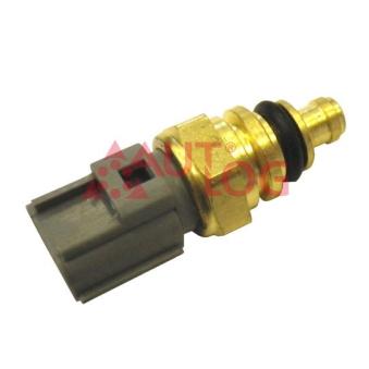 Sonde de température, liquide de refroidissement AUTLOG AS2121