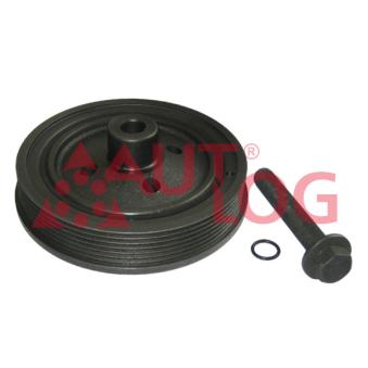 Kit de poulies, vilebrequin AUTLOG OEM 1198049