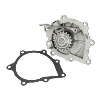 Pompe à eau THERMOTEC [D1C029TT]