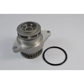 Pompe à eau THERMOTEC OEM 030121005T