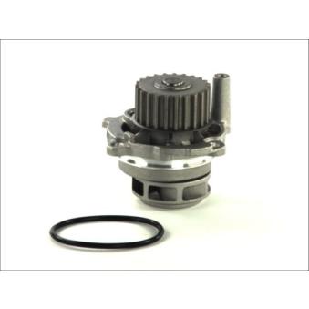 Pompe à eau THERMOTEC D1W028TT pour BMW X6 1.8 - 125cv