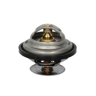 Thermostat d'eau THERMOTEC [D2ME002TT]