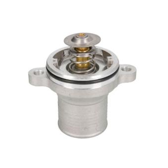 Thermostat d'eau THERMOTEC D2MF003TT