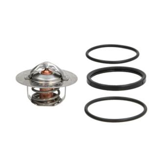 Thermostat d'eau THERMOTEC [D2R003TT]