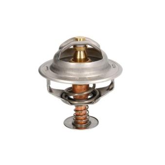 Thermostat d'eau THERMOTEC [D2RV006TT]