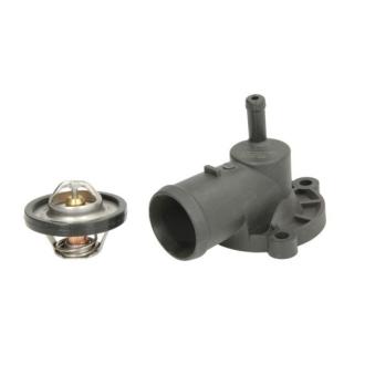 Thermostat d'eau THERMOTEC [D2S003TT]