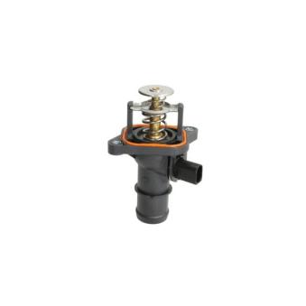 Thermostat d'eau THERMOTEC [D2T005TT]