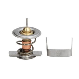 Thermostat d'eau THERMOTEC [D2X009TT]