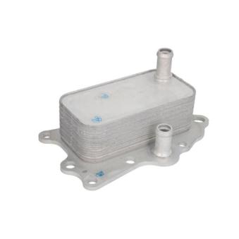 Radiateur d'huile THERMOTEC D40001TT pour CHEVROLET ORLANDO 2.0 D - 163cv