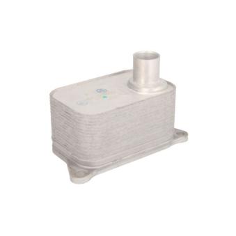 Radiateur d'huile THERMOTEC D4A006TT pour BMW Série 3 2.0 TFSI - 200cv